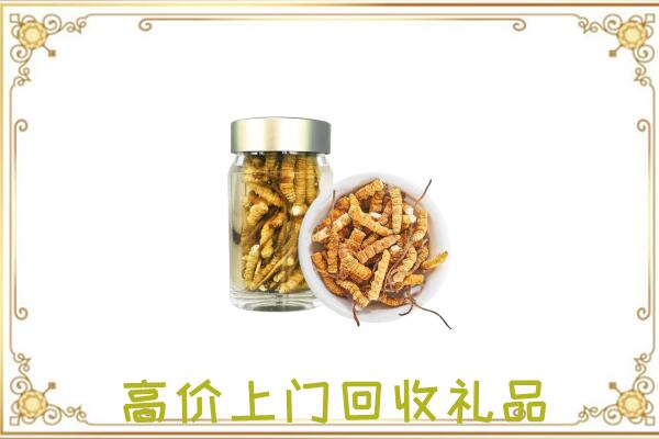 滦平周边回收虫草